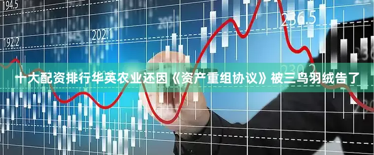 十大配资排行华英农业还因《资产重组协议》被三鸟羽绒告了